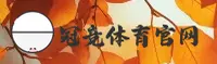 使用指南与常见问题
